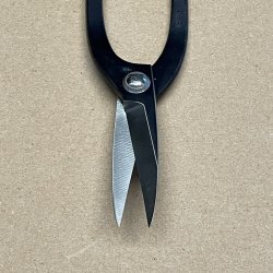 Ryuga: <br> Buet-saks