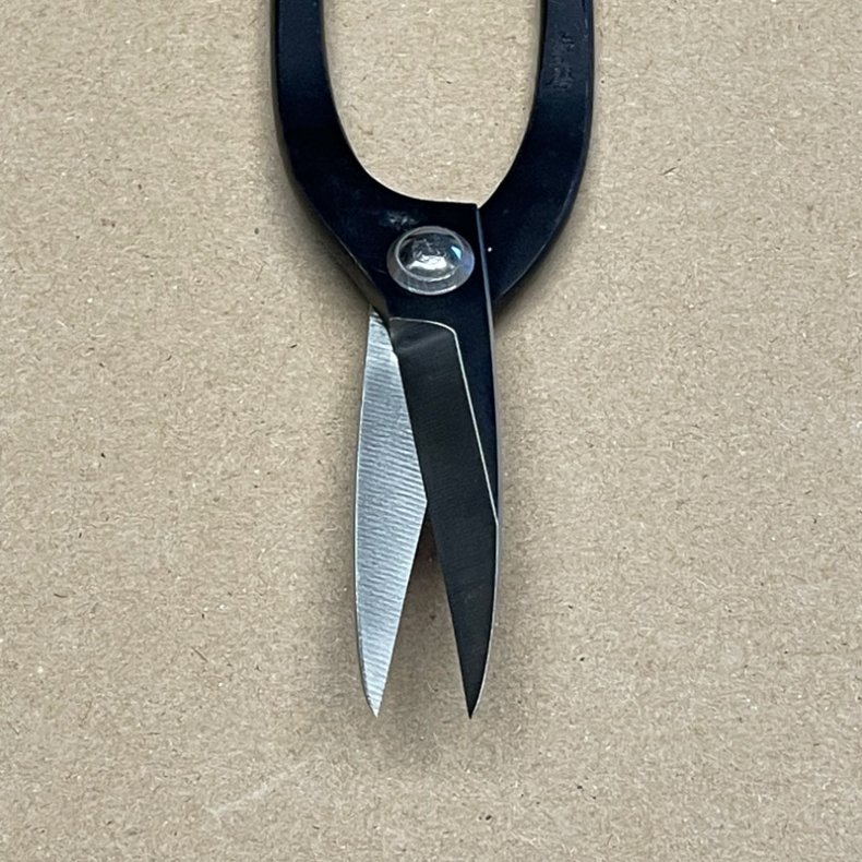 Ryuga: <br> Buet-saks