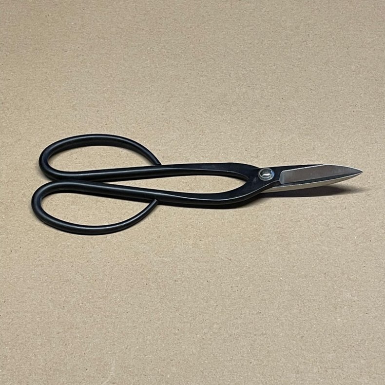 Ryuga: <br> Buet-saks