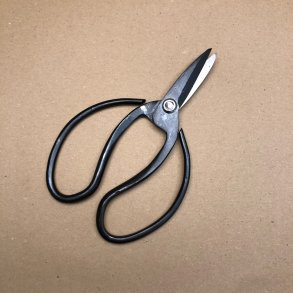 Starter: <br> Bonsai-saks