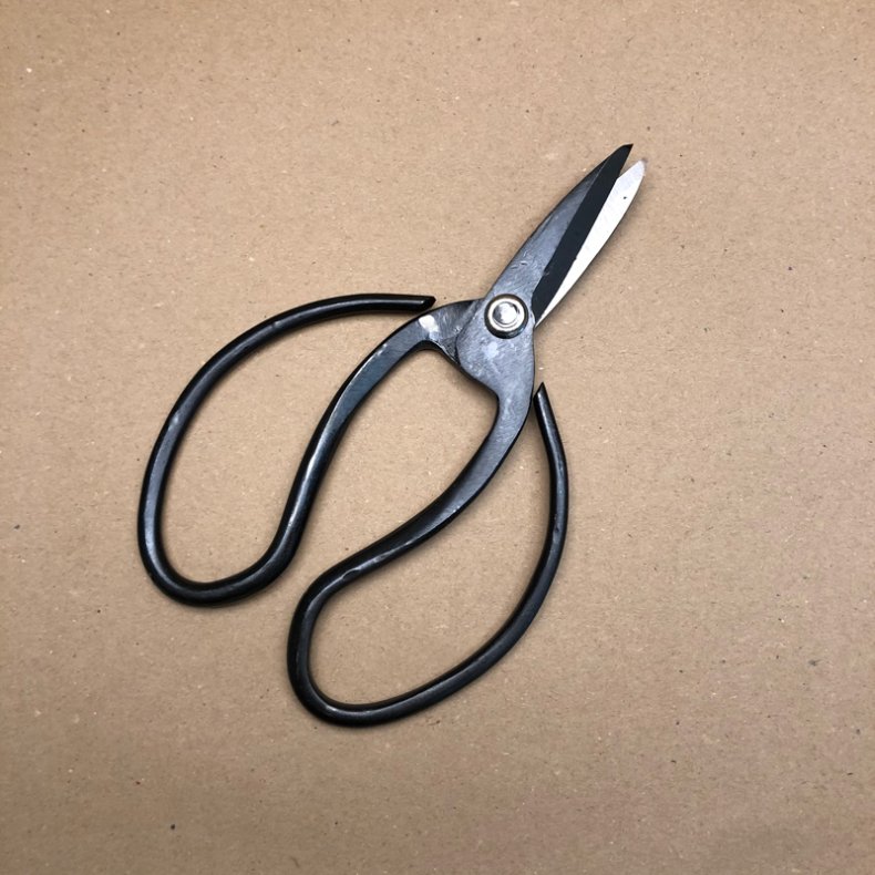 Starter: <br> Bonsai-saks