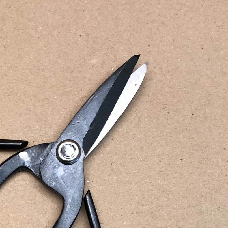 Starter: <br> Bonsai-saks