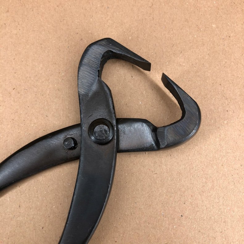 Starter: <br> Stammetang