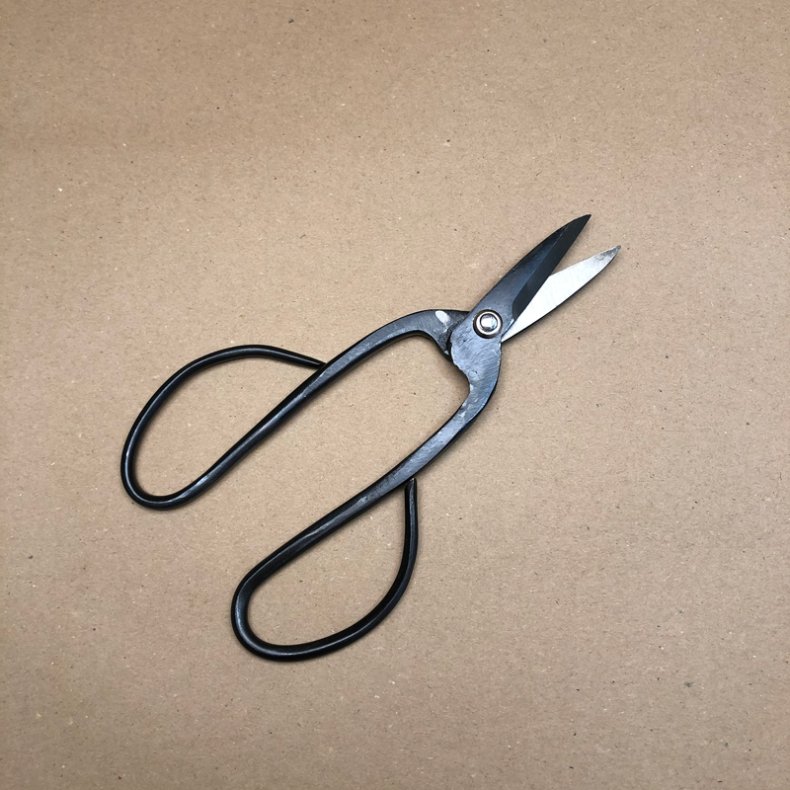 Starter: <br> Saks, buet greb