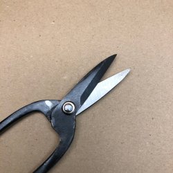 Starter: <br> Saks, buet greb