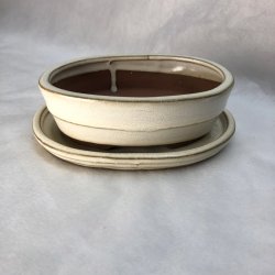 Bonsai-sk�l, str. 1, glaseret, oval, creme