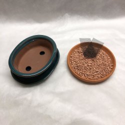 Bonsai-skl, str. 1, glaseret, oval med kant, bl