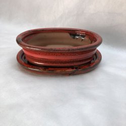 Bonsai-skl, str. 1, glaseret, oval med kant, rd