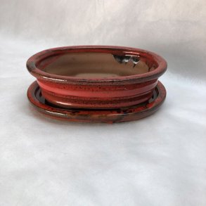 Bonsai-skl, str. 1, glaseret, oval med kant, rd