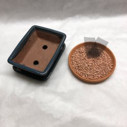 Bonsai-sk�l, str. 1, glaseret, rektangul�r med kant, bl�