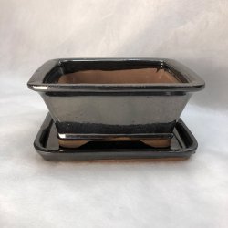 Bonsai-skl, str. 1, glaseret, rektangulr med kant, kobber