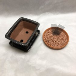 Bonsai-skl, str. 1, glaseret, rektangulr med kant, kobber