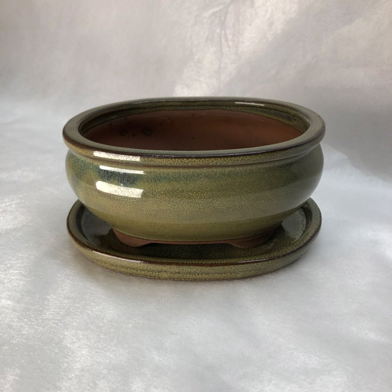 Bonsai-skl, str. 1, glaseret, rund oval, oliven
