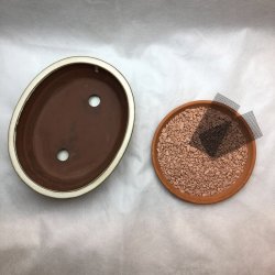 Bonsai-skl, str. 2, glaseret, oval, creme