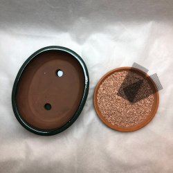 Bonsai-skl, str. 2, glaseret, oval, grn