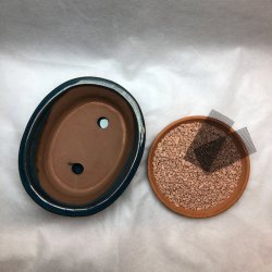 Bonsai-skl, str. 2, glaseret, oval med kant, bl