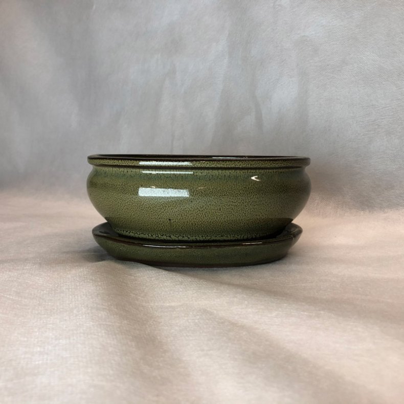 Bonsai-skl, str. 2, glaseret, rund oval, oliven