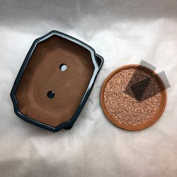 Bonsai-skl, str. 2, glaseret, rektangulr, bl