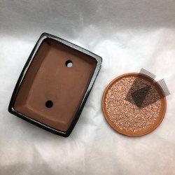 Bonsai-skl, str. 2, glaseret, rektangulr, sort