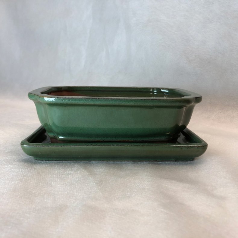 Bonsai-sk�l, str. 2, glaseret, rektangul�r med kant, gr�n