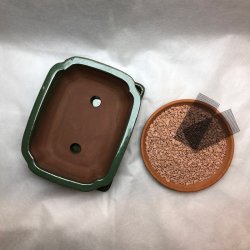 Bonsai-skl, str. 2, glaseret, rektangulr med kant, grn