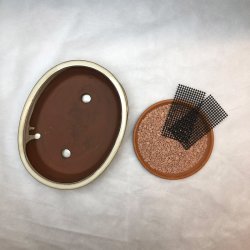 Bonsai-skl, str. 3, glaseret, oval, creme