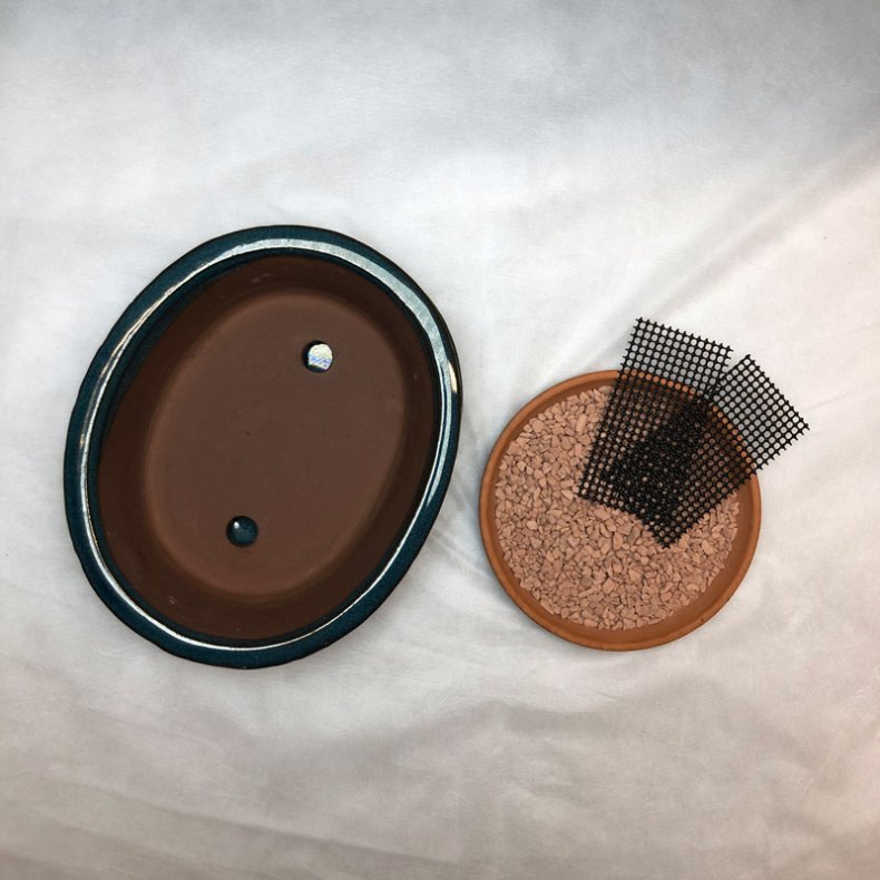 Bonsai-skl, str. 3, glaseret, oval med kant, bl