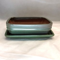 Bonsai-sk�l, str. 3, glaseret, rektangul�r, gr�n