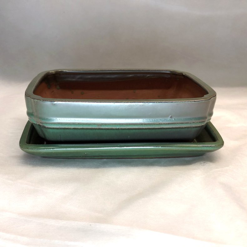 Bonsai-sk�l, str. 3, glaseret, rektangul�r, gr�n