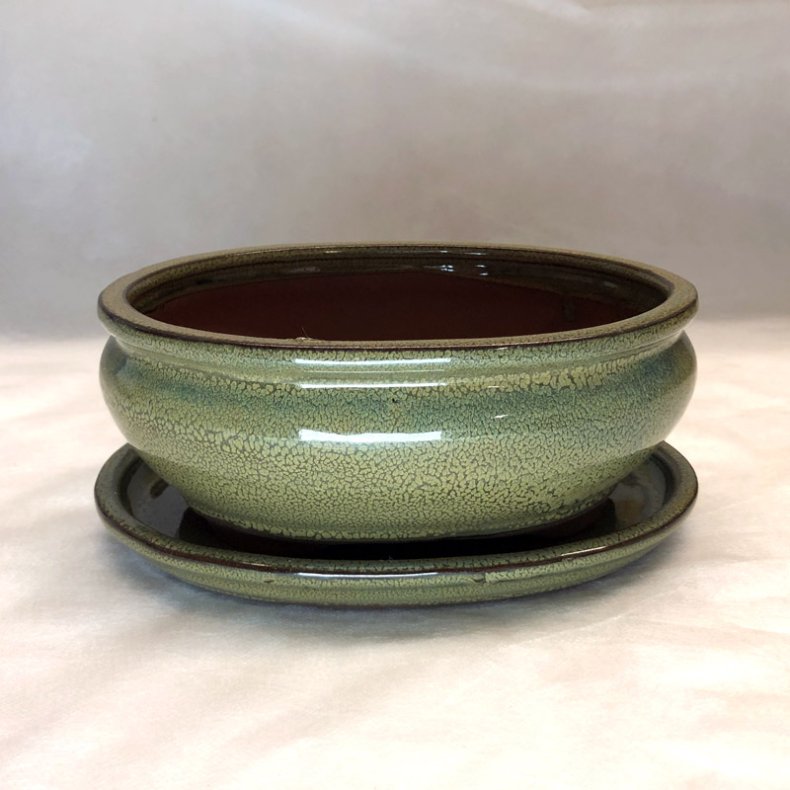 Bonsai-skl, str. 3, glaseret, rund oval, oliven