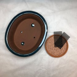 Bonsai-sk�l, str. 4, glaseret, oval med kant, bl�