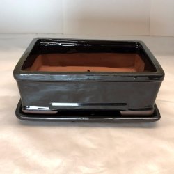 Bonsai-sk�l, str. 4, glaseret, rektangul�r, sort