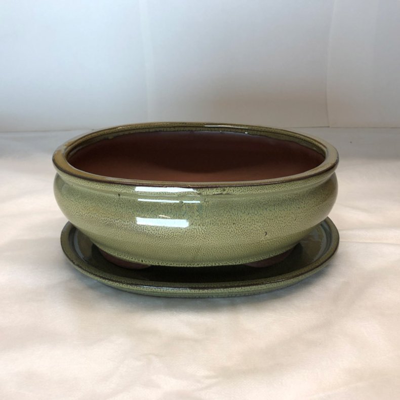 Bonsai-sk�l, str. 4, glaseret, rundoval, oliven