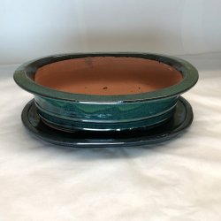 Bonsai-skl, str. 5, glaseret, oval med kant, mrkegrn