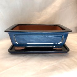 Bonsai-sk�l, str. 5, glaseret, rektangul�r med kant, bl�