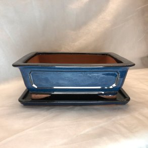 Bonsai-sk�l, str. 5, glaseret, rektangul�r med kant, m�rkebl�