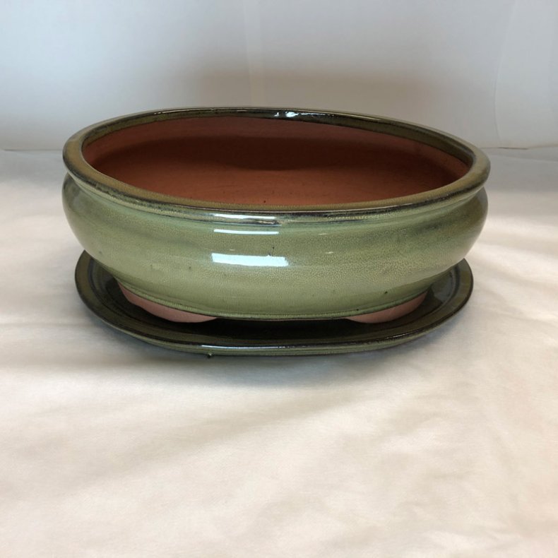 Bonsai-sk�l, str. 5, glaseret, rundoval, oliven