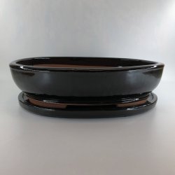 Bonsai-skl, str. 6, glaseret, oval, sort