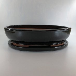 Bonsai-skl, str. 6, glaseret, oval, sort