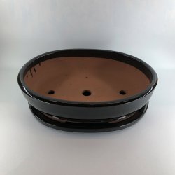 Bonsai-skl, str. 6, glaseret, oval, sort