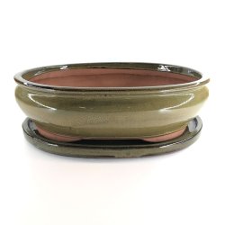 Bonsai-skl, str. 6, glaseret, oval, oliven