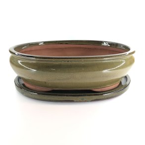 Bonsai-sk�l, str. 6, glaseret, oval, oliven