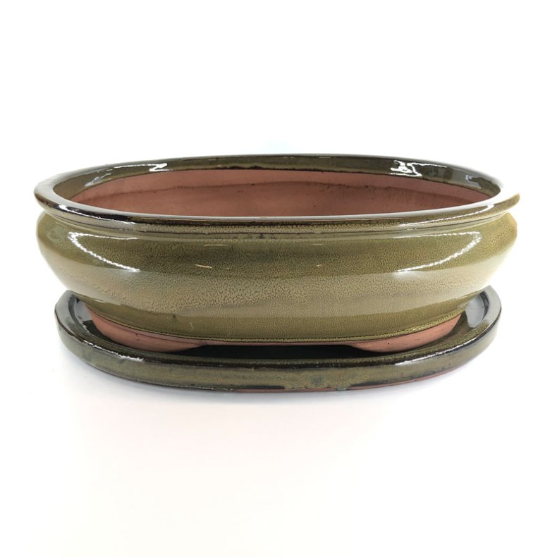 Bonsai-sk�l, str. 6, glaseret, oval, oliven
