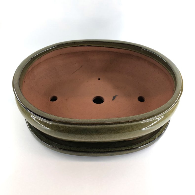 Bonsai-sk�l, str. 6, glaseret, oval, oliven