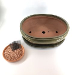 Bonsai-skl, str. 6, glaseret, oval, oliven