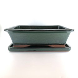Bonsai-skl, str. 6, glaseret, rektangulr, grn