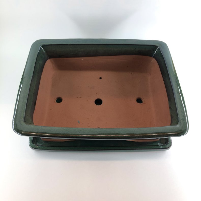 Bonsai-skl, str. 6, glaseret, rektangulr, grn