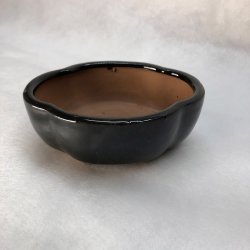 Bonsai-skl, str. 0, glaseret, klverblad, sort