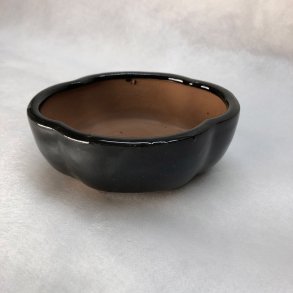 Bonsai-skl, str. 0, glaseret, klverblad, sort