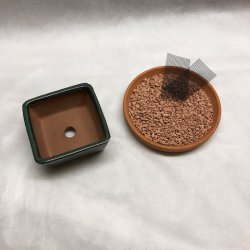 Bonsai-sk�l, str. 0, glaseret, kvadratisk, gr�n